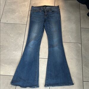 Flying Monkey Blue Flare Jeans